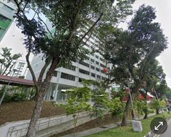 Blk 244 Yishun Sunshine (Yishun), HDB 4 Rooms #504280341